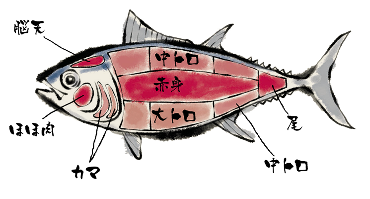 マグロ部位